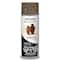 Peinture en aérosol à fini texturé de pierre Accents de Rust-Oleum